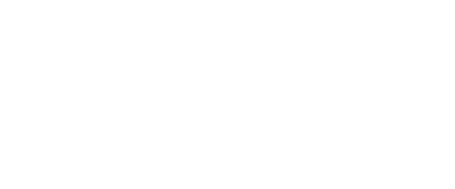 Grupo ALI, posibilidades infinitas